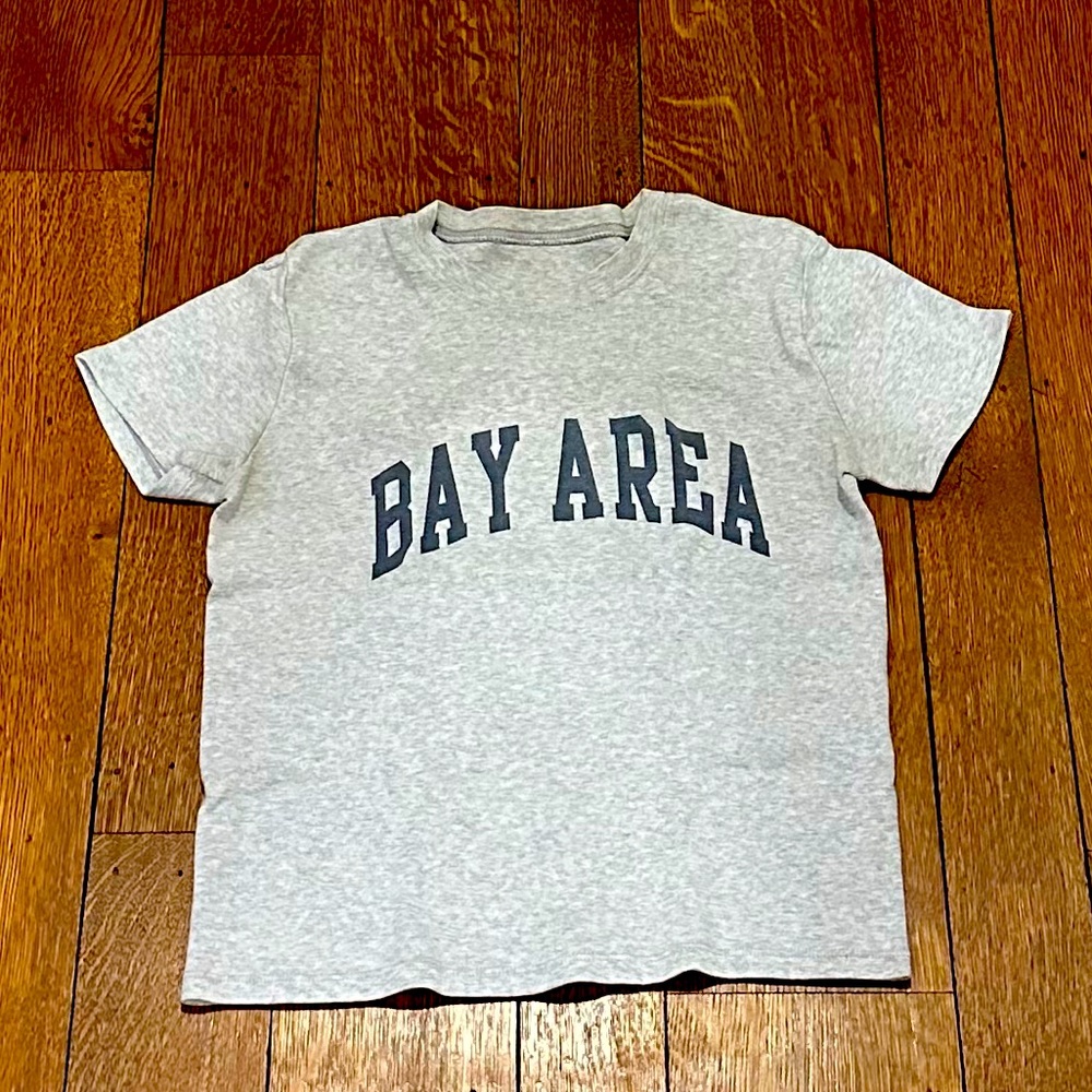 Brandy Melville- Tight Grey Cropped Top